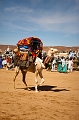 _42I5284_FICSA 2016_Pascal_Lahure